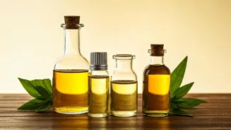 Exploring Health & Wellness Resources