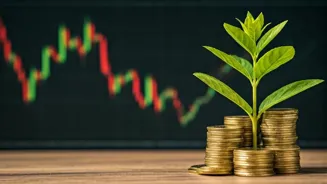 Understand Top Index Fund Performance