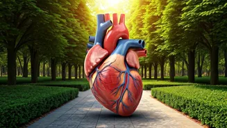 Walking Daily Improves Your Heart Health