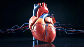 Cardio Is Good For Your Heart's Health.