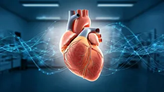 Is Mental Health Key to India's Heart Health?