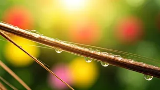 Dermatologist's Hair Care Tips For All Seasons