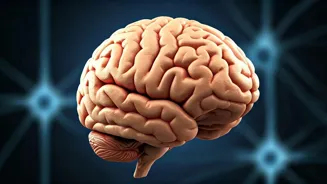 Simple Exercises Can Boost Your Brain Power