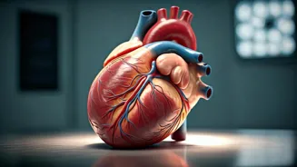 Is Salt Bad For Your Heart? A Doctor Explains