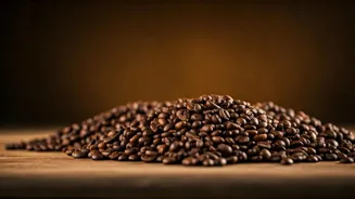 Coffee Lovers Should Visit These Destinations