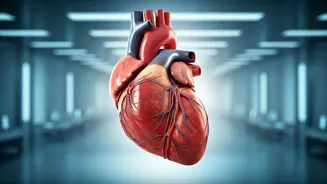 Are You a Couch Potato? Your Heart Suffers.