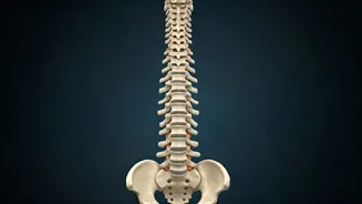 Protect Your Spine: Backbone Health Basics