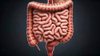 Why Does Travel Cause Bloating?
