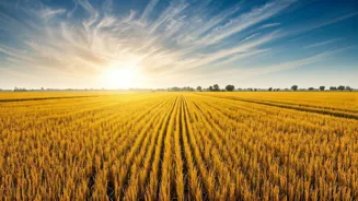 Is Farmland The Next Big Investment Opportunity?