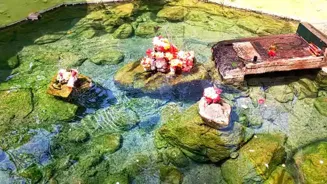 Odisha's Best Hot Springs: Atri and Taptapani
