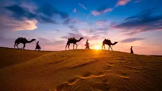 Rajasthan: Must-Do Activities for a Great Trip