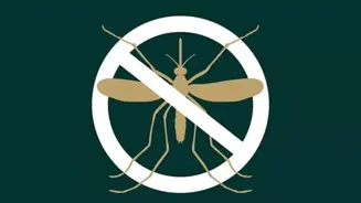 Dengue, Malaria: Rainy Season Protection Tips
