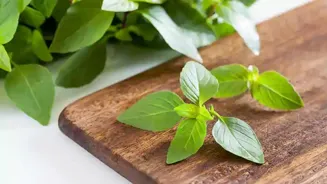 Learn How to Grow and Use Thai Basil