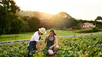 Organic Farming Changes Indian Food Scene