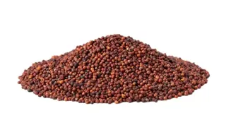 Rural India's Millet Recipes Are Forgotten