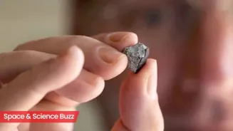 Meteorite older than Earth hits house in Georgia