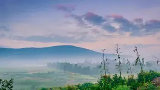 Araku Valley: Explore Waterfalls and Coffee!