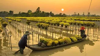 Explore Vietnam's Hidden Rural Gems