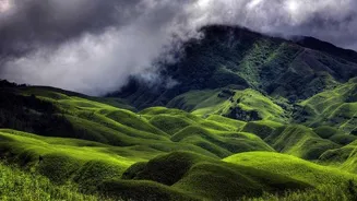 Explore the Best of Nagaland Falcon Capital