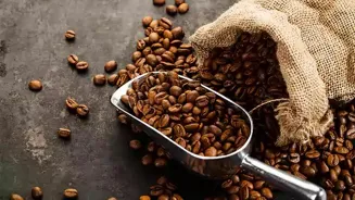 Coffee Beans: A Global Journey Begins Here