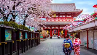 Must-See Tourist Spots in Tokyo Await You
