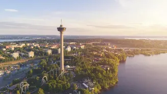 Finland's Kauppi Forest Offers Nature Therapy