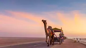 Visit Gujarat: Top Tourist Attractions Await
