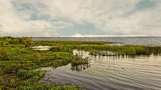 Iberá Wetlands: Argentina's Hidden Paradise