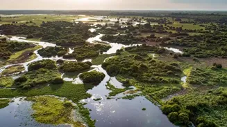 Brazil's Pantanal Wetlands Offer Wild Beauty