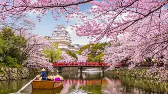 Explore Japan's Hidden Gems for a Unique Trip