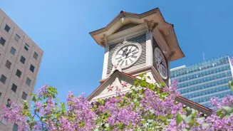 Japan's Cheapest Cities to Live Are Revealed