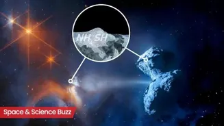 Astronomers crack the case of missing sulfur