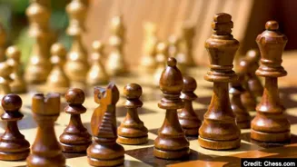 I-Day Special: A look at India's rise in chess