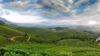 Visit South India's Enchanting Hill Stations
