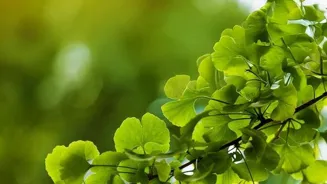 Go Green: Change Habits, Live Eco-Friendly!