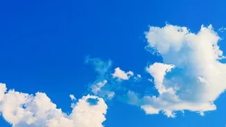 How Weather Forecasts Impact Your Daily Life