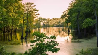 Find Calm: Embrace Slow Living For 5 Reasons