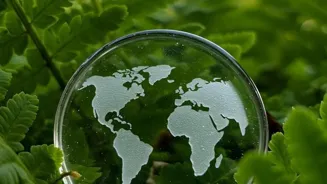 Celebrate Earth Day in an Eco-Friendly Way!