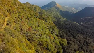 Trail Tales: Trekking Terrains & Triumphs