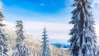 Winter Wonderlands Are Calling Snow Lovers!