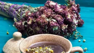 Herbal Teas Can Brew Your Mood Magic!