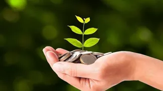 Go Green: Sustainable Seals Boost Businesses