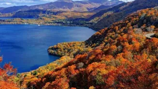 Time Your Trips Right for Travel Savings