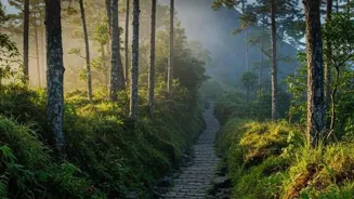 Outdoor Exercise: 7 Tips for a Better Workout