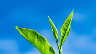 Boost Your Energy: 7 Natural Tips That Work