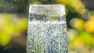 Water's Health Benefits Are Revealed!
