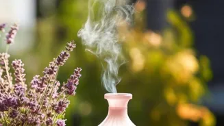 8 Secret Scents Boost Your Mind and Body