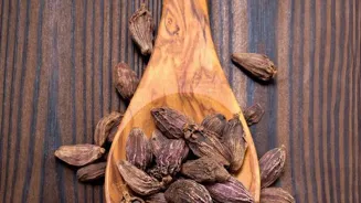 Cardamom: A Global Spice's Secrets Revealed