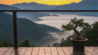 India Yoga Retreats Rejuvenate Your Mind
