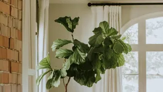 Make Your Home Eco-Friendly and Stylish!